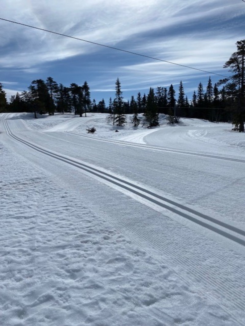 Skidspår i närheten